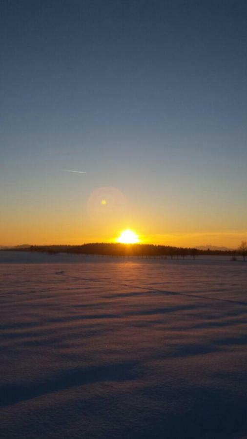 Seidelsferienparadiesgahlenz Kültér fotó